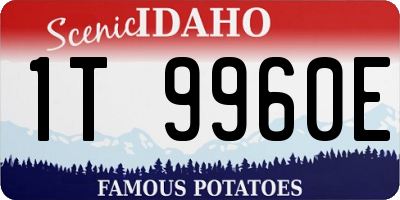 ID license plate 1T9960E