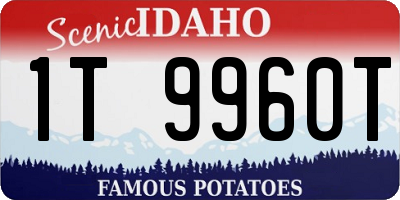 ID license plate 1T9960T