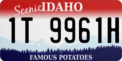 ID license plate 1T9961H
