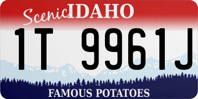 ID license plate 1T9961J
