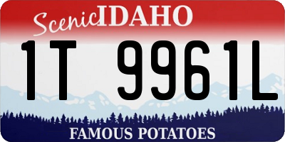 ID license plate 1T9961L