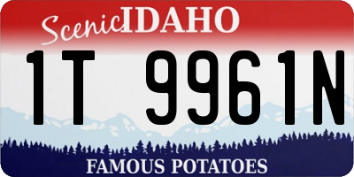 ID license plate 1T9961N