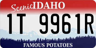 ID license plate 1T9961R