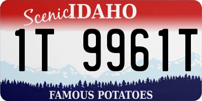 ID license plate 1T9961T