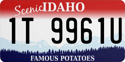 ID license plate 1T9961U