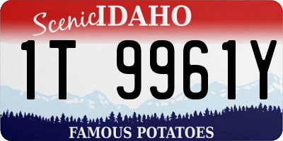 ID license plate 1T9961Y