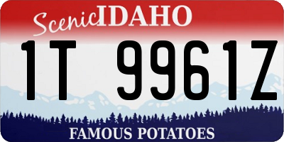 ID license plate 1T9961Z