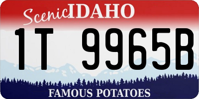 ID license plate 1T9965B