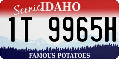 ID license plate 1T9965H