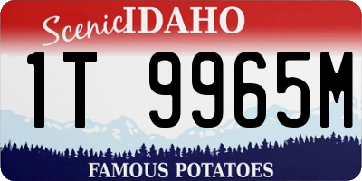 ID license plate 1T9965M