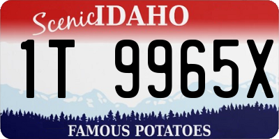 ID license plate 1T9965X