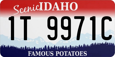 ID license plate 1T9971C