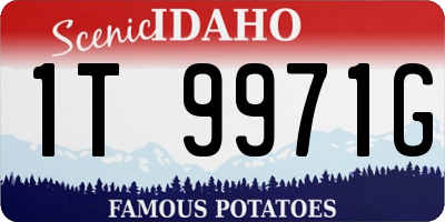 ID license plate 1T9971G
