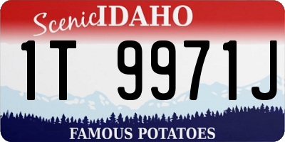 ID license plate 1T9971J