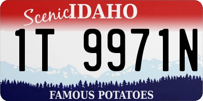 ID license plate 1T9971N