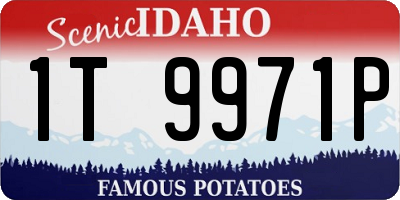ID license plate 1T9971P
