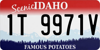 ID license plate 1T9971V