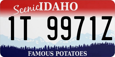 ID license plate 1T9971Z