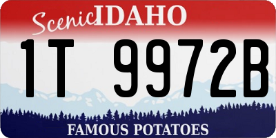 ID license plate 1T9972B