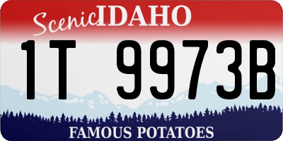 ID license plate 1T9973B