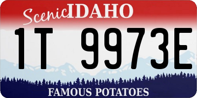 ID license plate 1T9973E