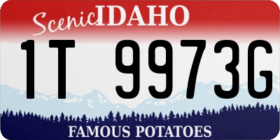 ID license plate 1T9973G