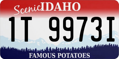 ID license plate 1T9973I