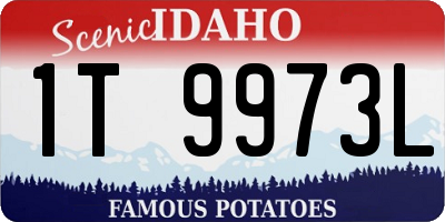 ID license plate 1T9973L
