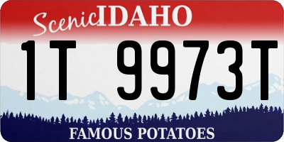 ID license plate 1T9973T