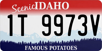 ID license plate 1T9973V