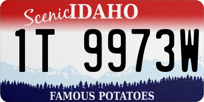 ID license plate 1T9973W