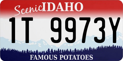 ID license plate 1T9973Y