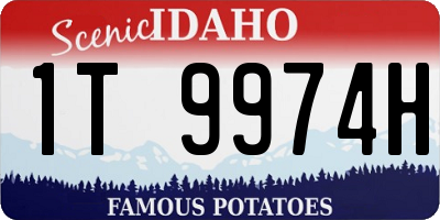 ID license plate 1T9974H