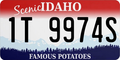 ID license plate 1T9974S