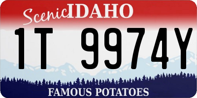 ID license plate 1T9974Y