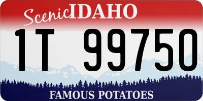 ID license plate 1T9975O