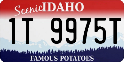 ID license plate 1T9975T