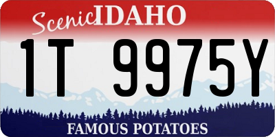 ID license plate 1T9975Y