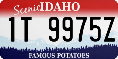 ID license plate 1T9975Z