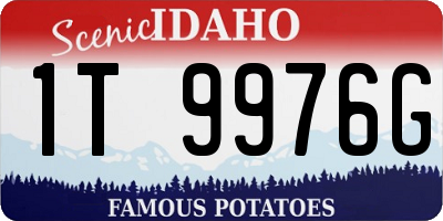 ID license plate 1T9976G