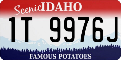 ID license plate 1T9976J