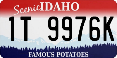 ID license plate 1T9976K