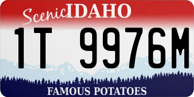 ID license plate 1T9976M