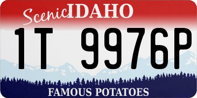 ID license plate 1T9976P