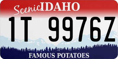 ID license plate 1T9976Z