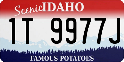 ID license plate 1T9977J