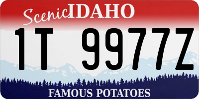 ID license plate 1T9977Z