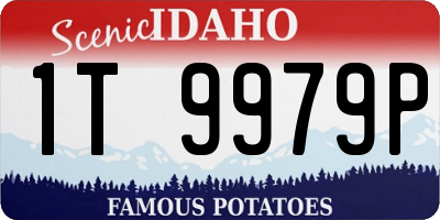ID license plate 1T9979P