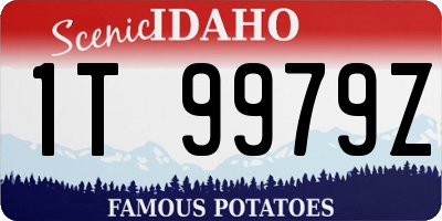 ID license plate 1T9979Z
