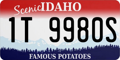 ID license plate 1T9980S
